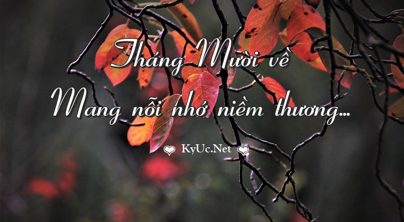 chum-tho-tinh-thang-10-hay-nhat-chao-don-thang-muoi-ve-4