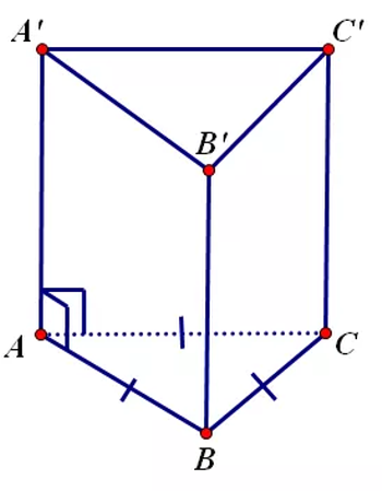 Lăng trụ tam giác đều: khái niệm, tính chất, công thức tính thể tích - Giadinhphapluat.vn