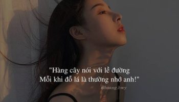 [TOP] 199+ bài thơ lục bát về tình yêu ngọt ngào, lãng mạn nhất - Giadinhphapluat.vn