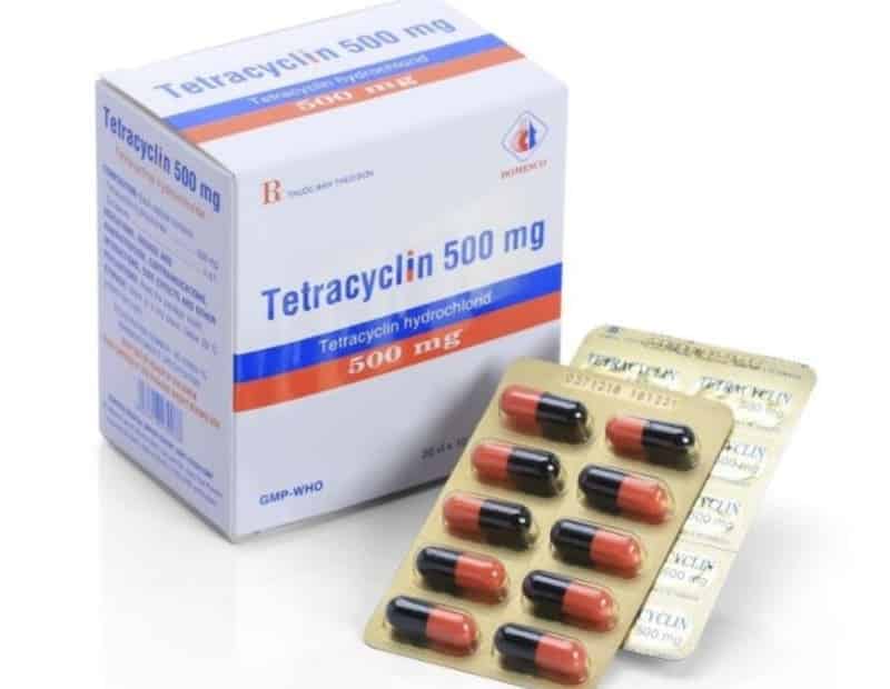 Thuốc Tetracycline trị gà - Những lưu ý khi sử dụng thuốc