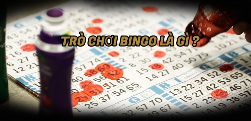 Bingo Là Gì? Luật Và Cách Chơi Bingo Online Như Thế Nào?